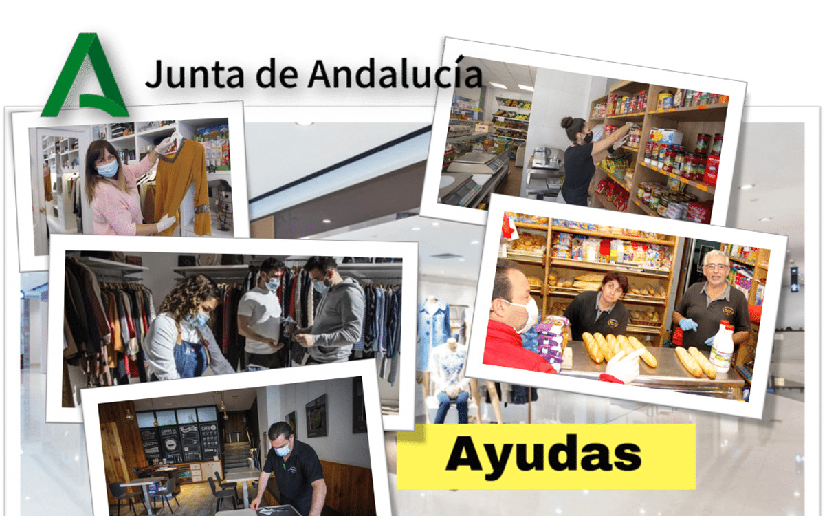Ayudas Junta de Andalucia
